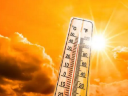 heet