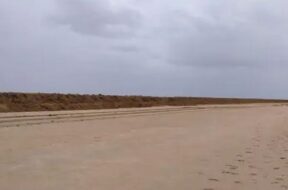 kutch, desert