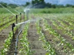 micro irrigation