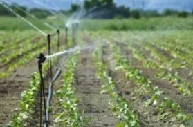 micro irrigation