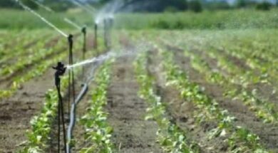 micro irrigation