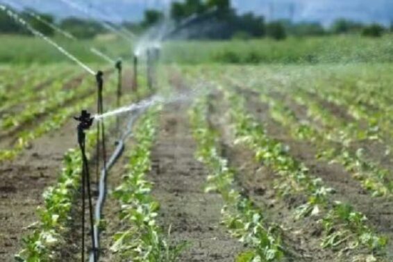 micro irrigation