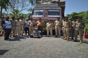 truck driver who hit lioness arrested