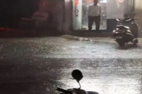 Baroda, Rain