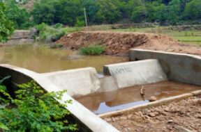CONSERVATION WORK