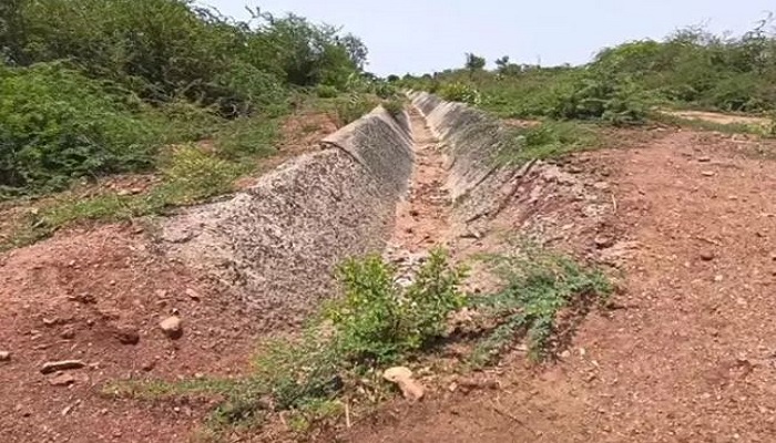 સુરેન્દ્રનગરના માળોદની માઈનોર કેનાલમાં 20 વર્ષથી પાણી ન છોડાતા કેનાલ તૂટી ગઈ
