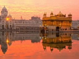 GOLDEN TEMPAL
