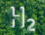 H2