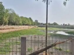 Surendranagar garden