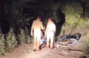 WhatsApp Image 2025-05-29 at 10.25.16 AM