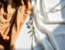 cloths