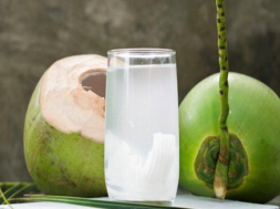 coconut water
