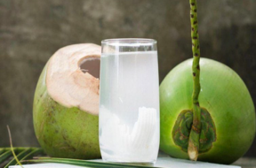 coconut water