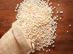 dal