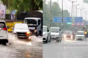 delhi