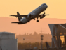 flight