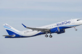 indigo