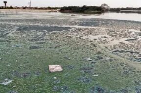 lambha lake, drainage water