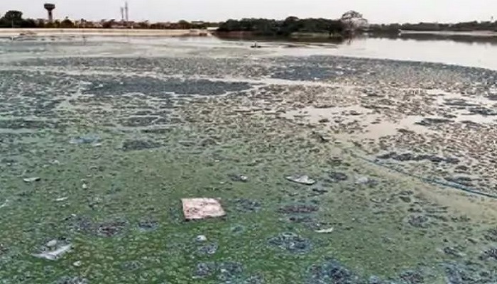 લાંભા ગામના તળાવમાં ગટરના પાણી ઠલવાતા તીવ્ર દૂર્ગંધથી લોકો પરેશાન