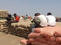 mahuva market yard