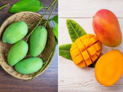 mango