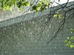 rain