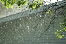 rain
