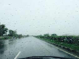 rain