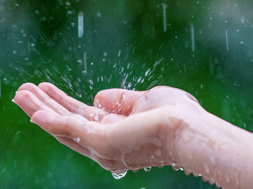 rain