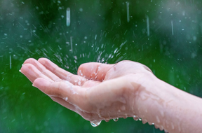 rain
