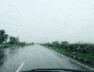 rain
