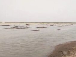 small rann of kutch
