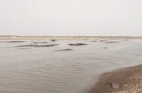 small rann of kutch