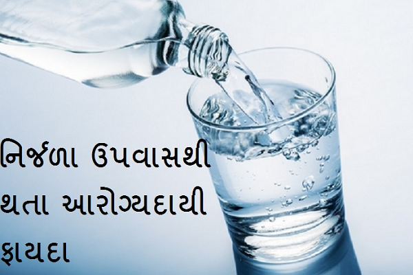 નિર્જળા ઉપવાસ શું છે ? જાણો તેના ફાયદા અને ગેરફાયદા