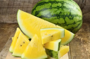 watermellon