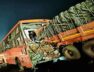 Accident, dhrangdhra highway