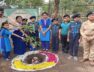 Bhavnagar, tree planting