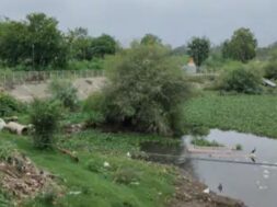 LAKE, Baroda