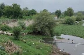 LAKE, Baroda