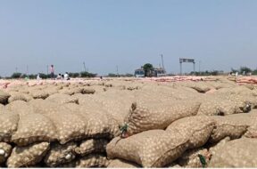 Mahuva yard, onion