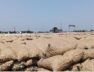 Mahuva yard, onion