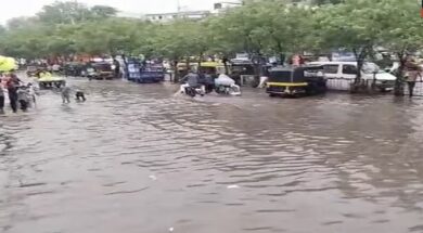 Rain