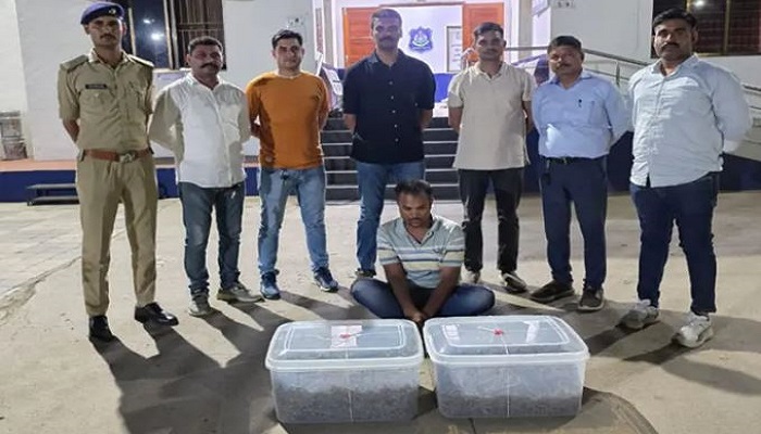 વાપીના રણછોડનગરના એક ફ્લેટમાંથી 14 કિલો ગાંજાનો જથ્થો પકડાયો
