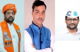 Visavadar vidhansabha seat, candidate