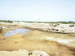 chinab river