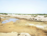 chinab river