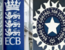 cricket bourd