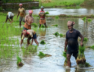 farmer