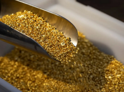 gold
