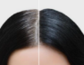 hair